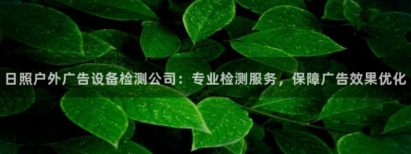 杏宇平台注册地址：日照户外广告设备检测公司：专业检测服务，保障广告效果优化