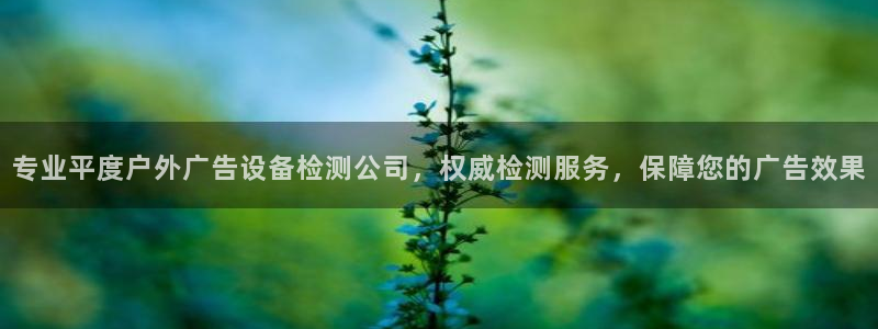 杏宇平台代理多少钱一次：专业平度户外广告设备检测公司，权威检测服务，保障您的广告效果