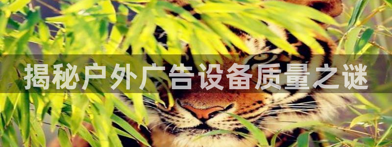 杏宇平台怎么样：揭秘户外广告设备质量之谜