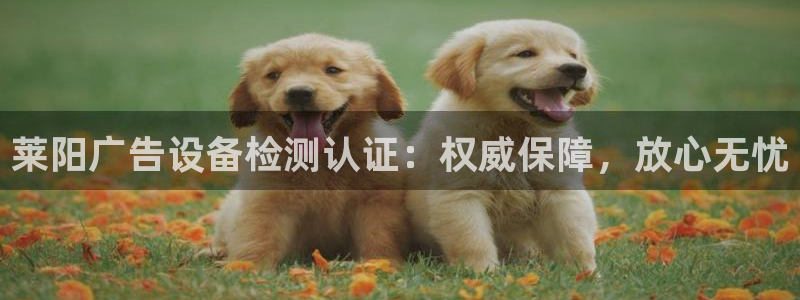 杏宇平台登录方法：莱阳广告设备检测认证：权威保障，放心无忧