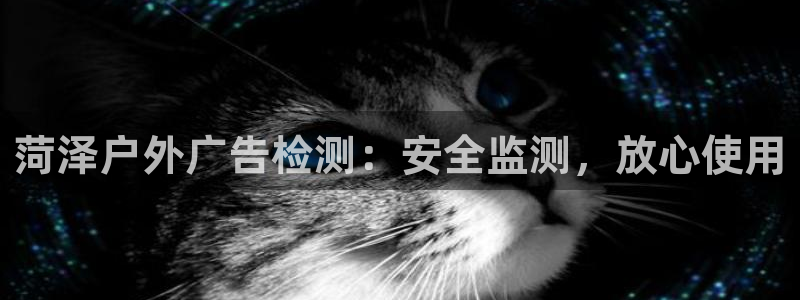 杏宇平台好吗：菏泽户外广告检测：安全监测，放心使用