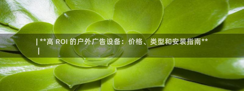杏宇平台注册登录：| **高 ROI 的户外广告设备：价格、类型和安装指南**
 |