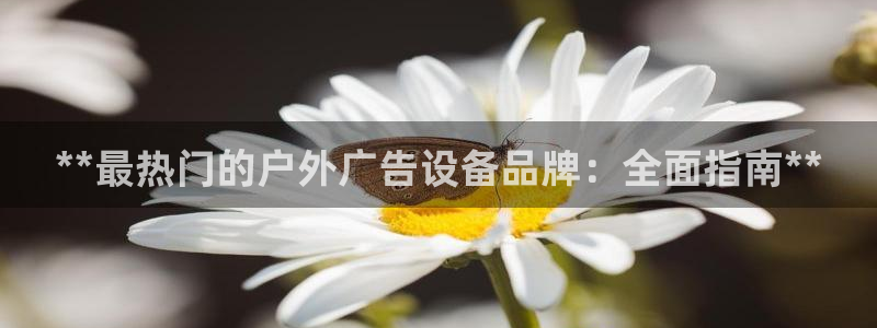 杏宇平台代理怎么样赚钱：**最热门的户外广告设备品牌：全面指南**