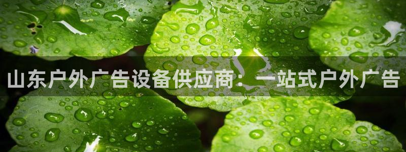 杏宇平台主管：山东户外广告设备供应商：一站式户外广告