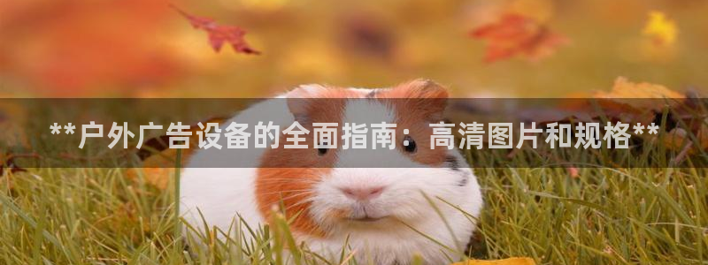 杏宇官方平台官网下载：**户外广告设备的全面指南：高清图片和规格**