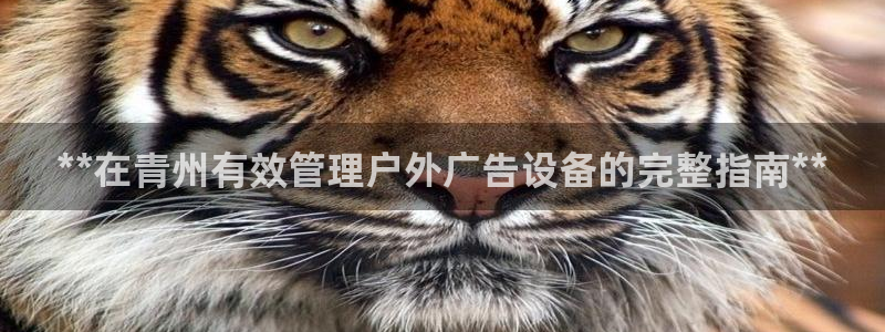 杏宇平台代理怎么赚钱快：**在青州有效管理户外广告设备的完整指南**