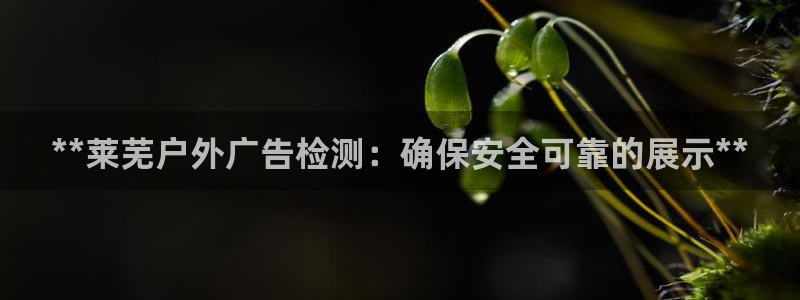 杏宇平台总代理电话：**莱芜户外广告检测：确保安全可靠的展示**