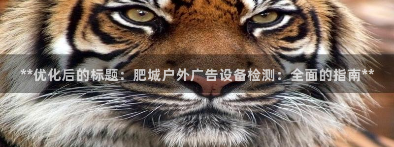杏宇平台招商电话号码：**优化后的标题：肥城户外广告设备检测：全面的指南**