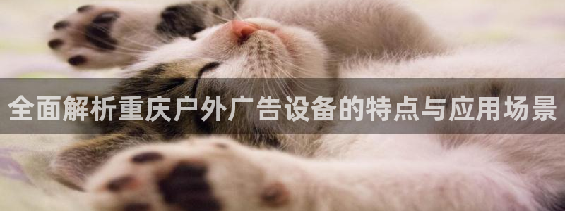 杏宇平台代理多少钱：全面解析重庆户外广告设备的特点与应用场景