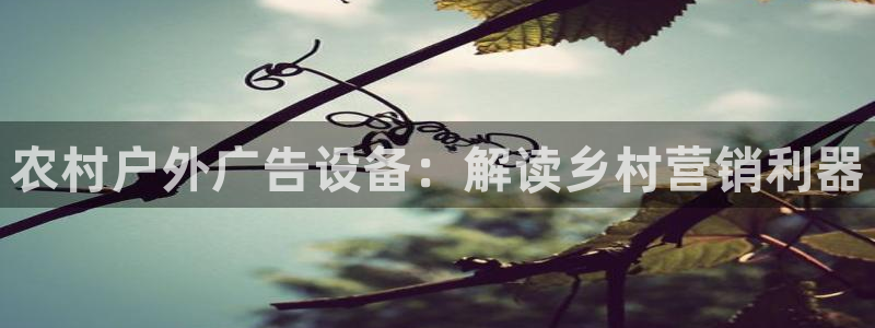 杏宇平台登陆：农村户外广告设备：解读乡村营销利器