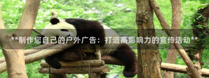 杏宇平台代理怎么赚钱的：**制作您自己的户外广告：打造高影响力的宣传活动**