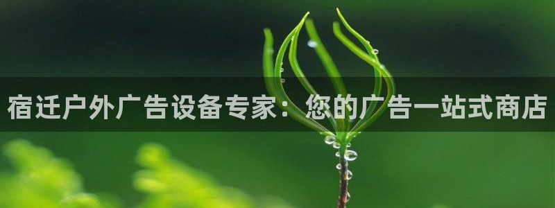杏宇平台登录步骤图：宿迁户外广告设备专家：您的广告一站式商店