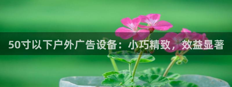 杏宇平台测速链接：50寸以下户外广告设备：小巧精致，效益显著