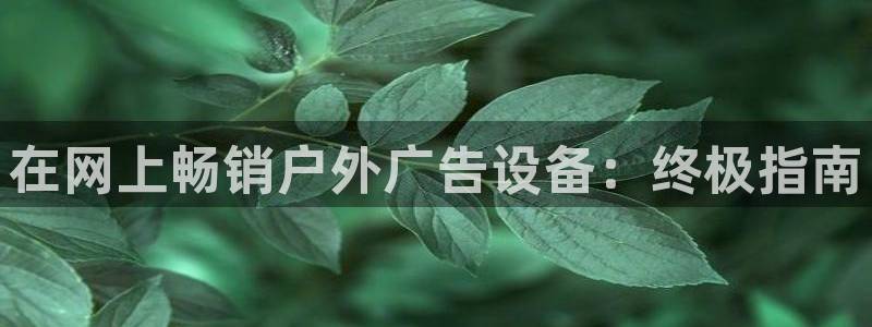 杏宇平台代理怎么样啊：在网上畅销户外广告设备：终极指南