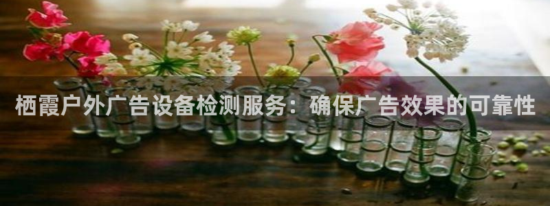 杏宇平台代理多少钱一次：栖霞户外广告设备检测服务：确保广告效果的可靠性