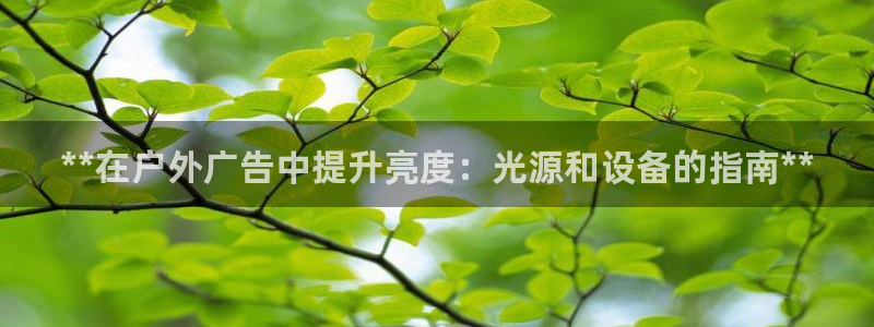 杏宇平台代理多少钱一个月：**在户外广告中提升亮度：光源和设备的指南**