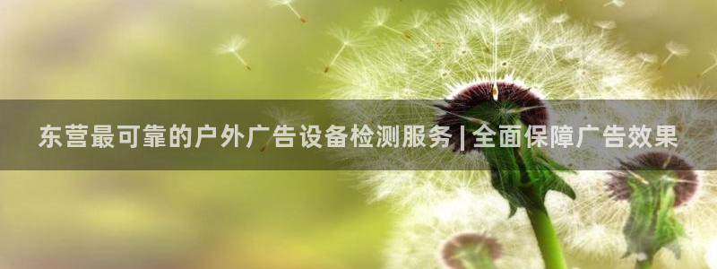 杏宇平台代理怎么样：东营最可靠的户外广告设备检测服务 | 全面保障广告效果