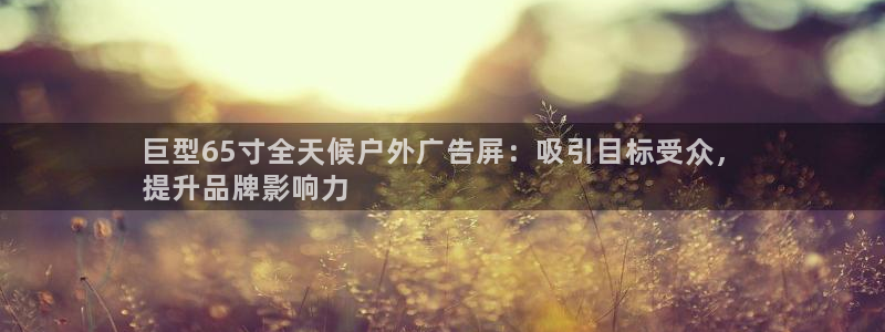 杏宇平台总代理是谁：巨型65寸全天候户外