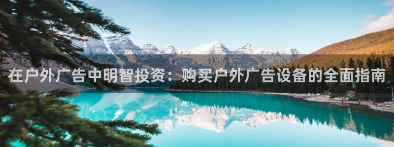杏宇平台客服：在户外广告中明智投资：购买