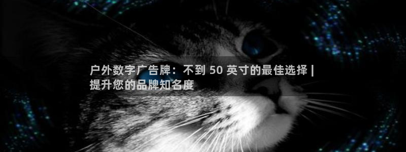 杏宇平台提现为什么这么久呢：户外数字广告牌：不到 50 英寸的最佳选择 | 
提升您的品牌知名度