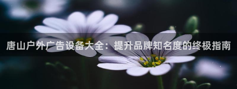 杏宇代理注册：唐山户外广告设备大全：提升品牌知名度的终极指南