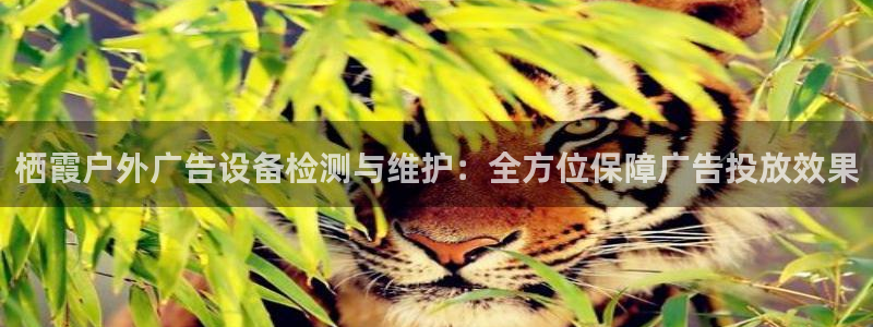 杏宇平台代理多少钱：栖霞户外广告设备检测与维护：全方位保障广告投放效果