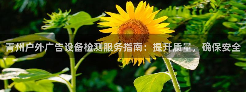 杏宇平台代理怎么赚钱：青州户外广告设备检测服务指南：提升质量，确保安全