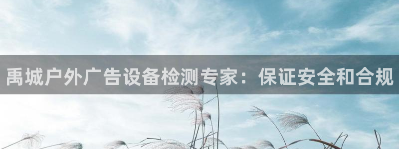 杏宇平台开户：禹城户外广告设备检测专家：保证安全和合规