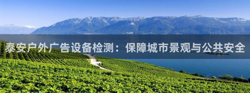 杏宇平台代理多少钱一次：泰安户外广告设备检测：保障城市景观与公共安全