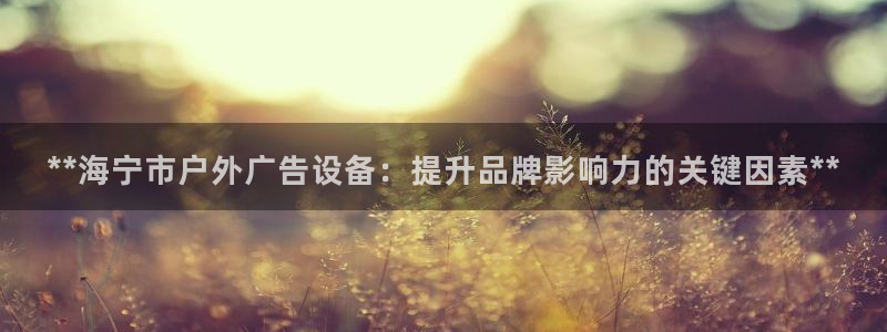杏宇代理注册：**海宁市户外广告设备：提升品牌影响力的关键因素**