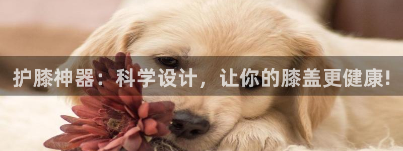 betway西汉姆官网